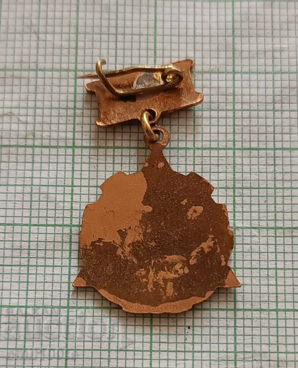 Insigna - Model Railwayman - 5 Insigna - Model Railwayman - 5