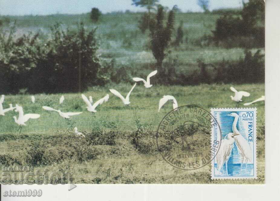 Postcard Maximum FDC Birds