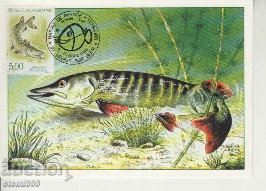 Postcard Maximum FDC Pisces