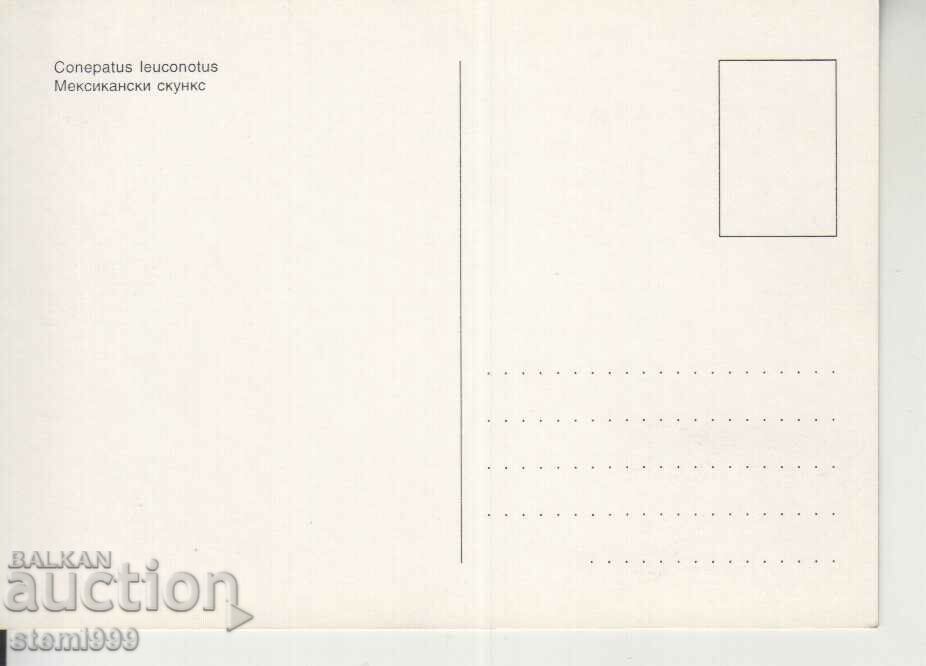 Postcard Maximum FDC Exotic Carnivores Animals with price 2.20 BGN | € 1.12 Postcard Maximum FDC Exotic Carnivores Animals with price 2.20 BGN | € 1.12