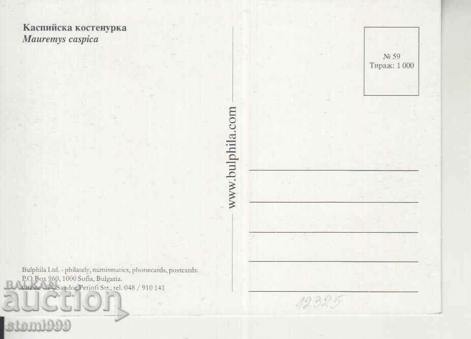 Postcard Maximum FDC Turtles Animals with price 2.20 BGN | € 1.12 Postcard Maximum FDC Turtles Animals with price 2.20 BGN | € 1.12