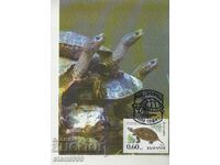 Postcard Maximum FDC Turtles Animals