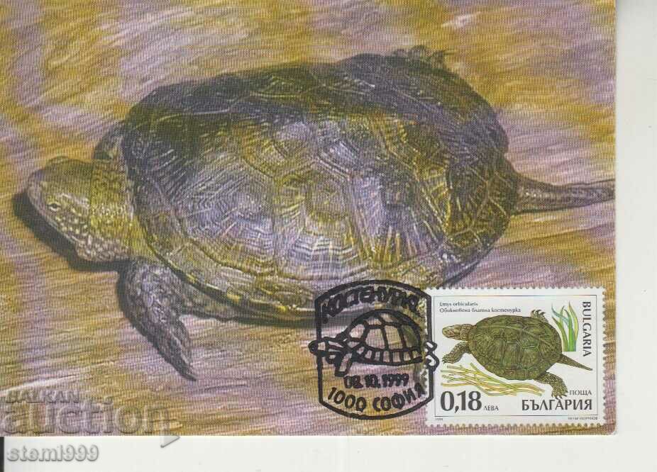 Καρτ ποστάλ Maximum FDC Turtles Animals