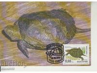 Postcard Maximum FDC Turtles Animals