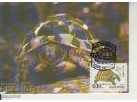 Καρτ ποστάλ Maximum FDC Turtles Animals