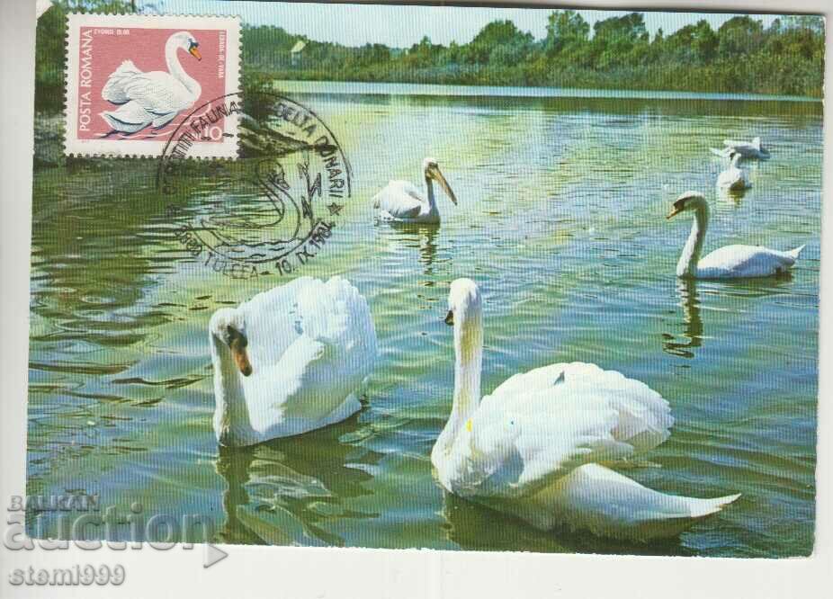 Postcard Maximum FDC BIRDS Animals