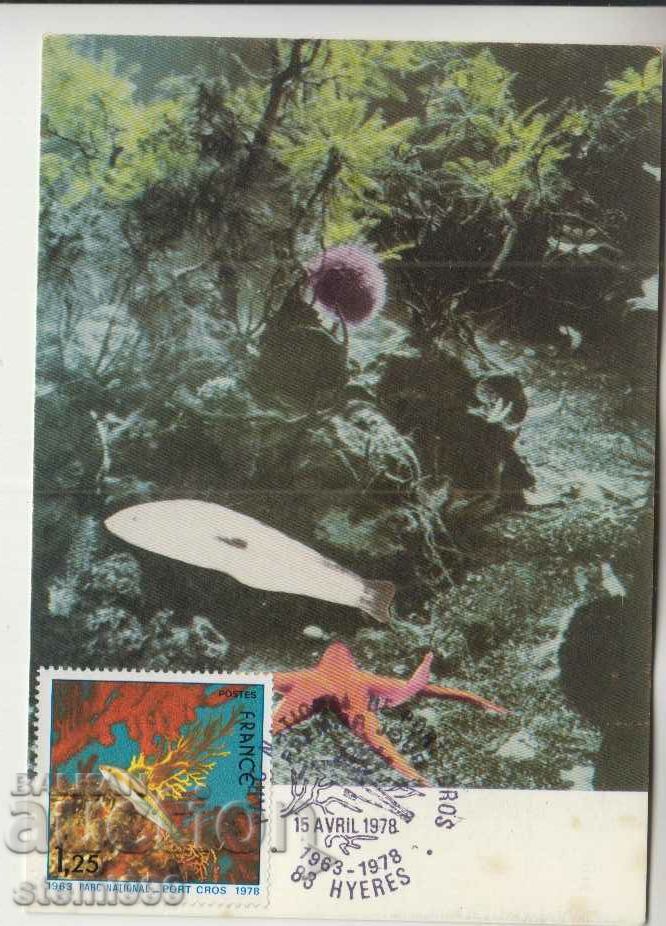 Carte poștală Maximum FDC Animale marine