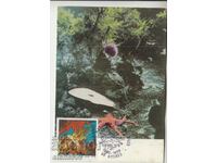 Postcard Maximum FDC Marine Animals