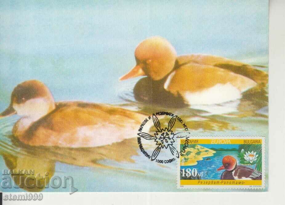 Postcard Maximum FDC BIRDS Animals Ropotamo