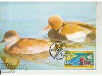 Postcard Maximum FDC BIRDS Animals Ropotamo