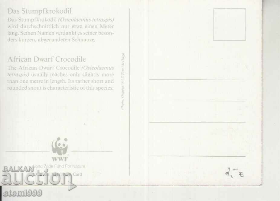 Postcard Maximum FDC Reptiles Lizards with price 2.20 BGN | € 1.12 Postcard Maximum FDC Reptiles Lizards with price 2.20 BGN | € 1.12