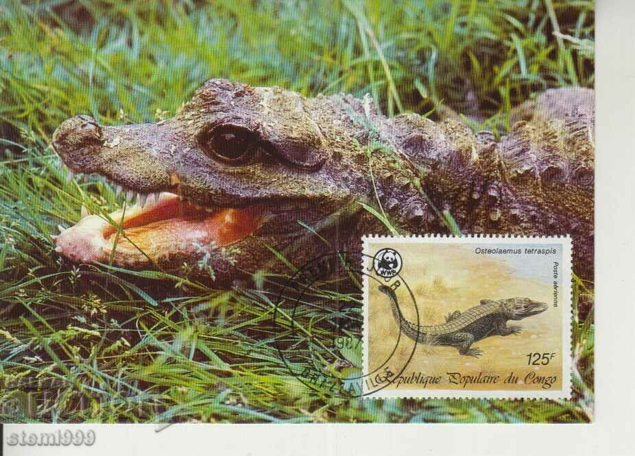 Postcard Maximum FDC Reptiles Lizards