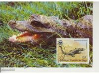 Postcard Maximum FDC Reptiles Lizards