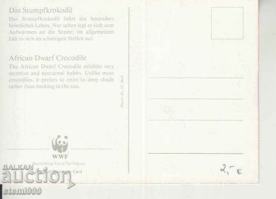 Postcard Maximum FDC Reptiles Lizards with price 2.20 BGN | € 1.12 Postcard Maximum FDC Reptiles Lizards with price 2.20 BGN | € 1.12