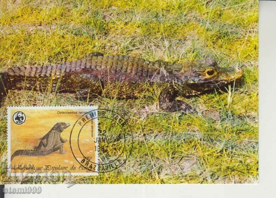 Postcard Maximum FDC Reptiles Lizards