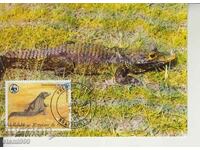 Postcard Maximum FDC Reptiles Lizards