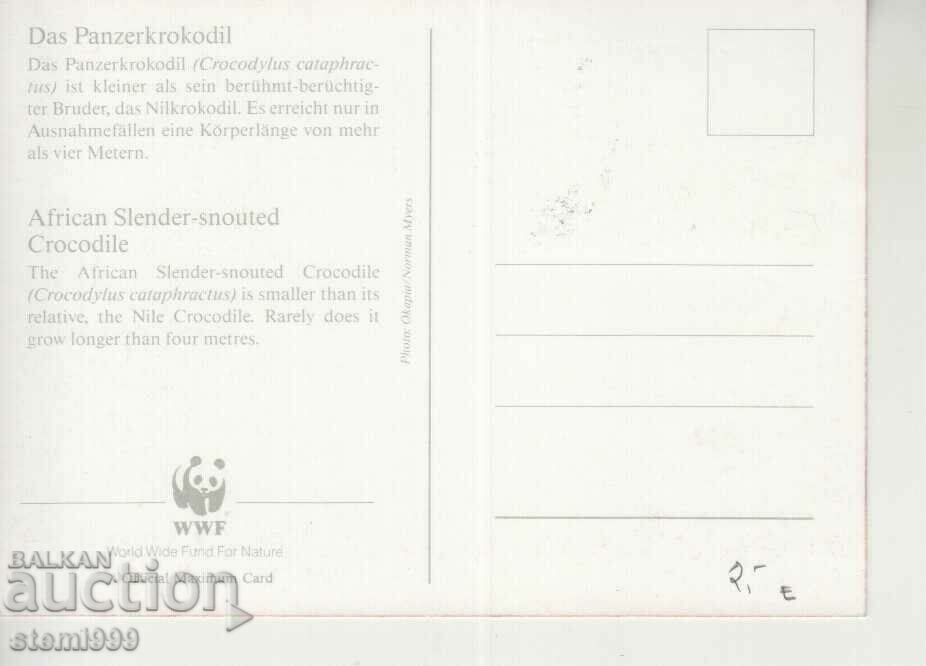 Καρτ ποστάλ Maximum FDC Reptiles Lizards με τιμή 2.20 BGN | € 1.12 Καρτ ποστάλ Maximum FDC Reptiles Lizards με τιμή 2.20 BGN | € 1.12