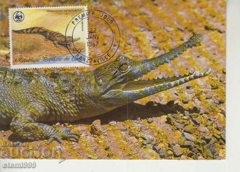 Carte poștală Maximum FDC Reptile Soparle