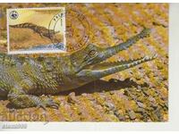 Postcard Maximum FDC Reptiles Lizards