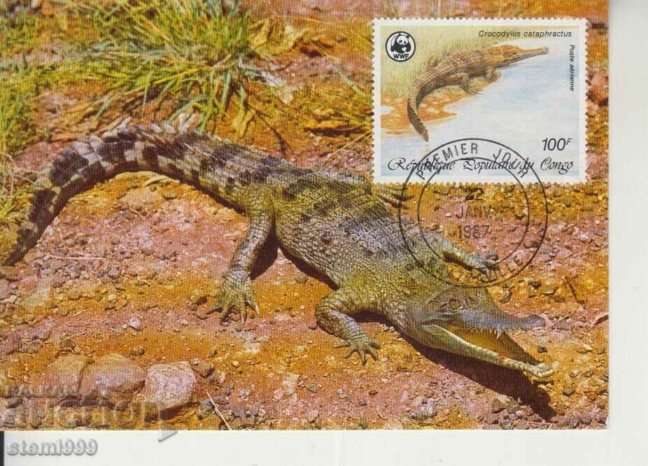 Postcard Maximum FDC Reptiles Lizards