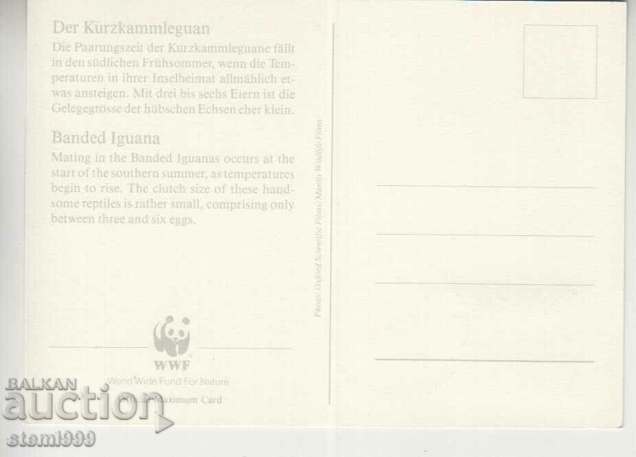 Postcard Maximum FDC Reptiles Lizards WWF with price 1.90 BGN | € 0.97 Postcard Maximum FDC Reptiles Lizards WWF with price 1.90 BGN | € 0.97