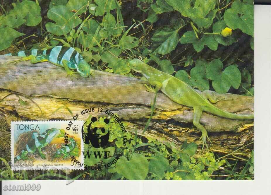 Postcard Maximum FDC Reptiles Lizards WWF