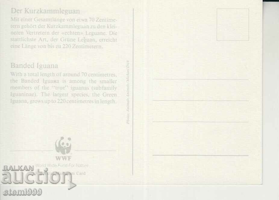Postcard Maximum FDC Reptiles WWF with price 1.90 BGN | € 0.97 Postcard Maximum FDC Reptiles WWF with price 1.90 BGN | € 0.97