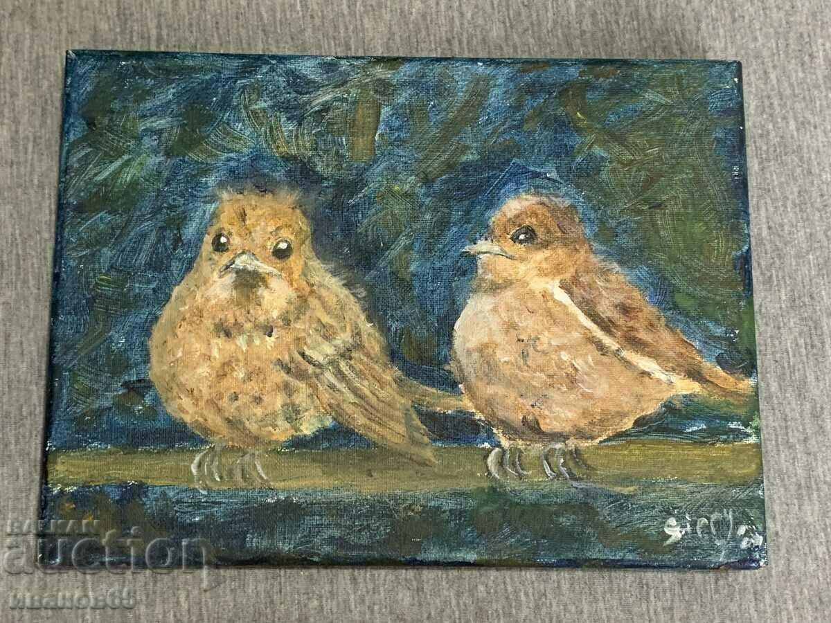 picture of birds