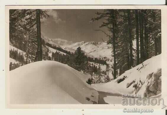 Card Bulgaria Pirin Winter landscape 2*