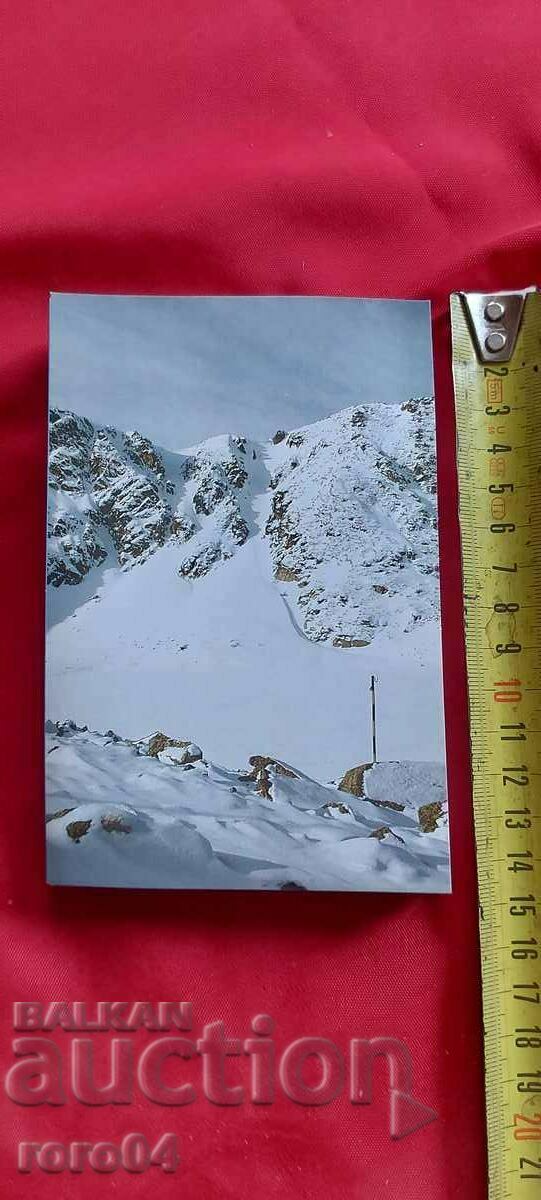 Auction BOROVETS Auction BOROVETS