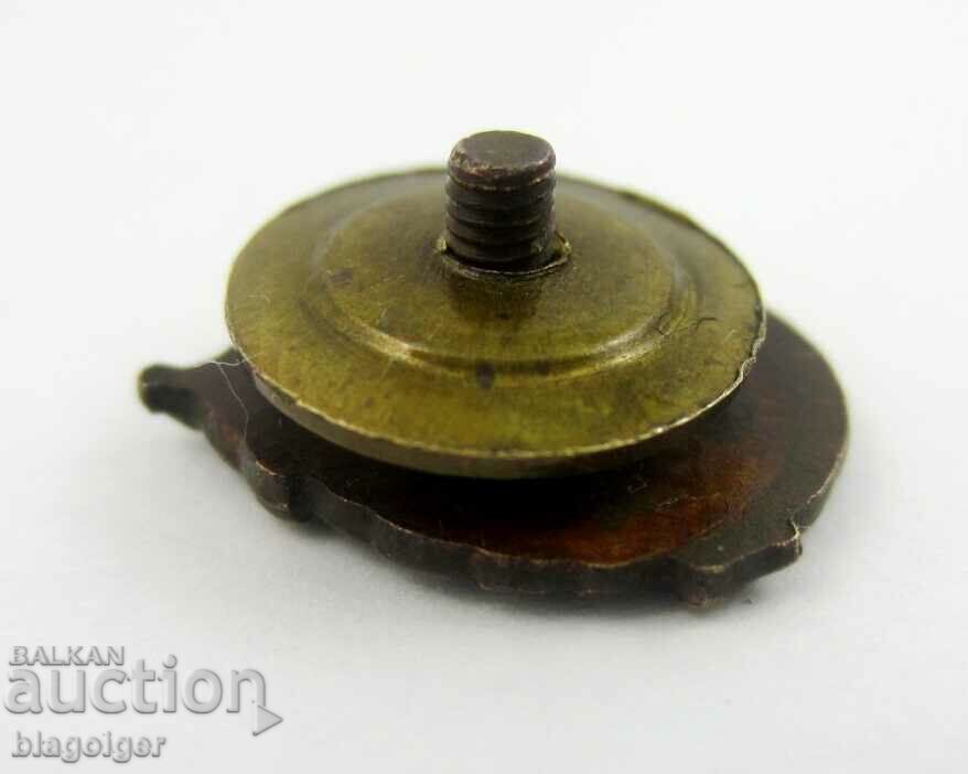 Delivery of Royal Badge-Red Cross-I Serve-Rare Badge-Screw Delivery of Royal Badge-Red Cross-I Serve-Rare Badge-Screw