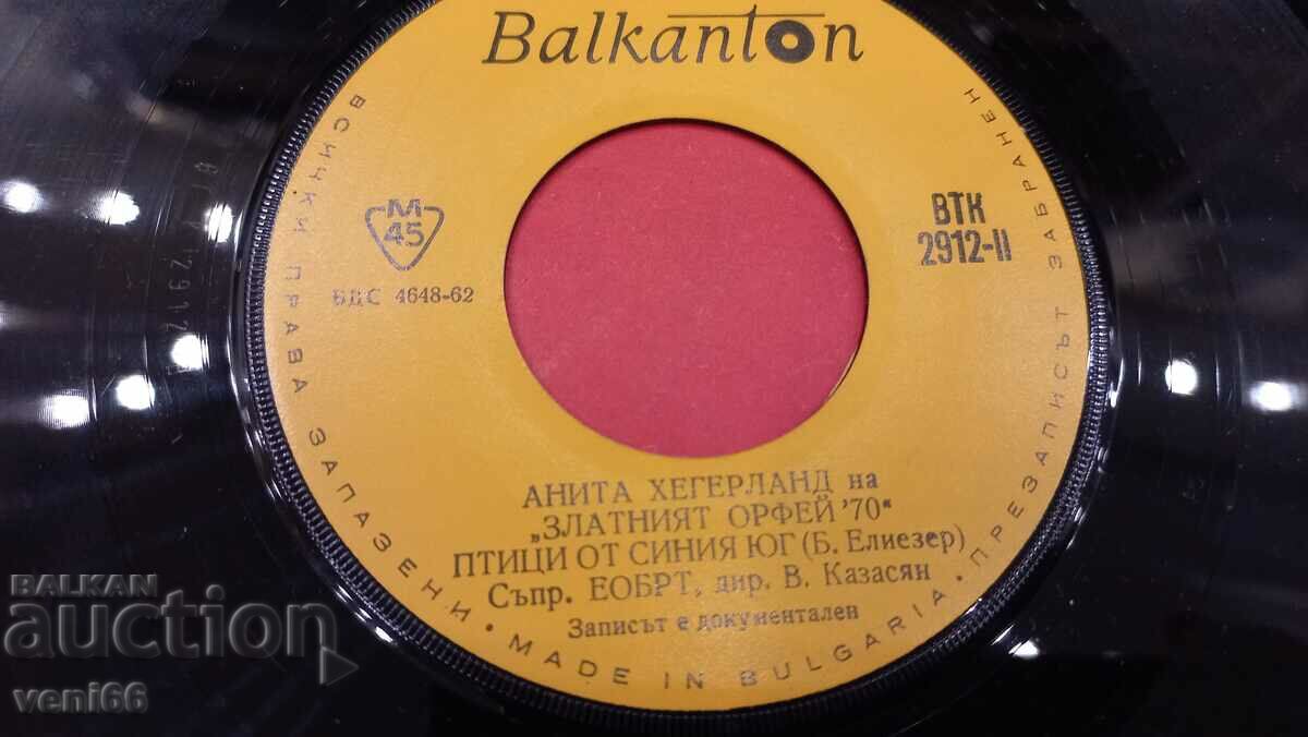 Auction  VTK 2912 Anita Hegerland