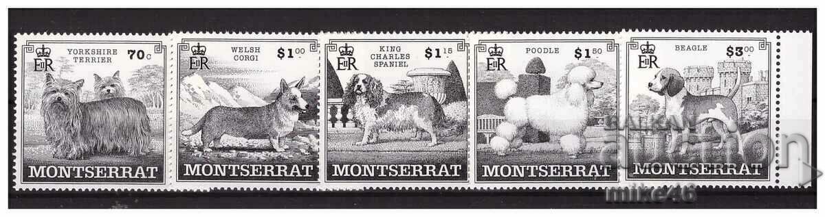 MONTSERRAT 1999 purebred dogs