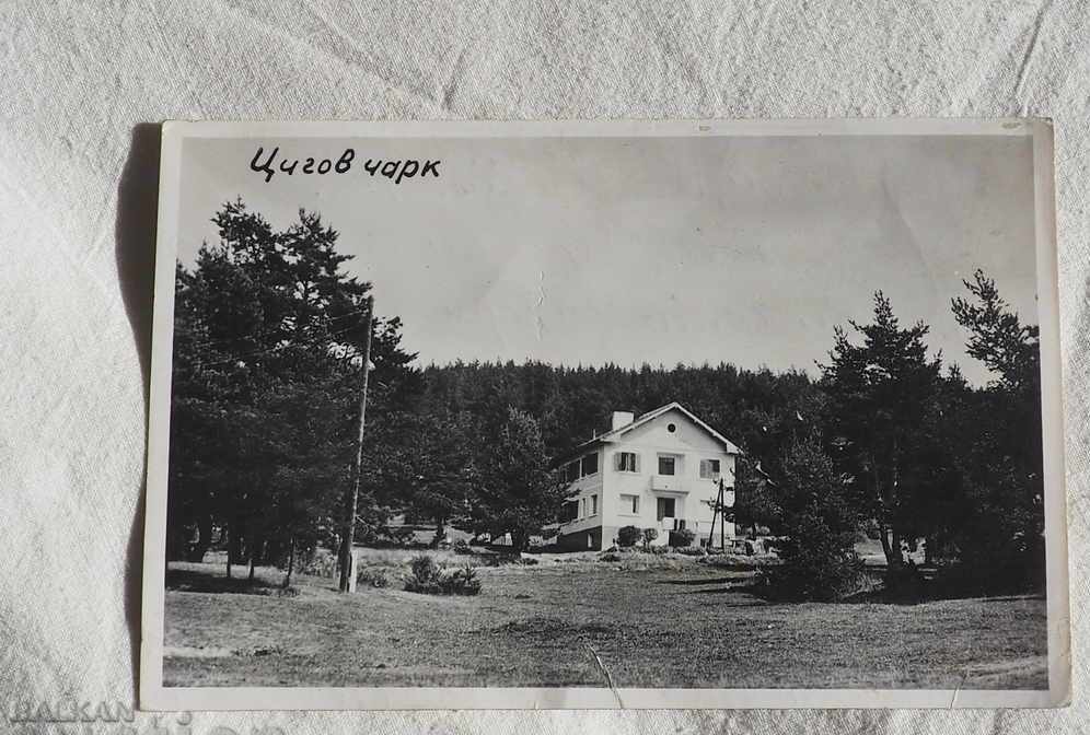 ZIGOV CHARK RESORT CARD around 1960