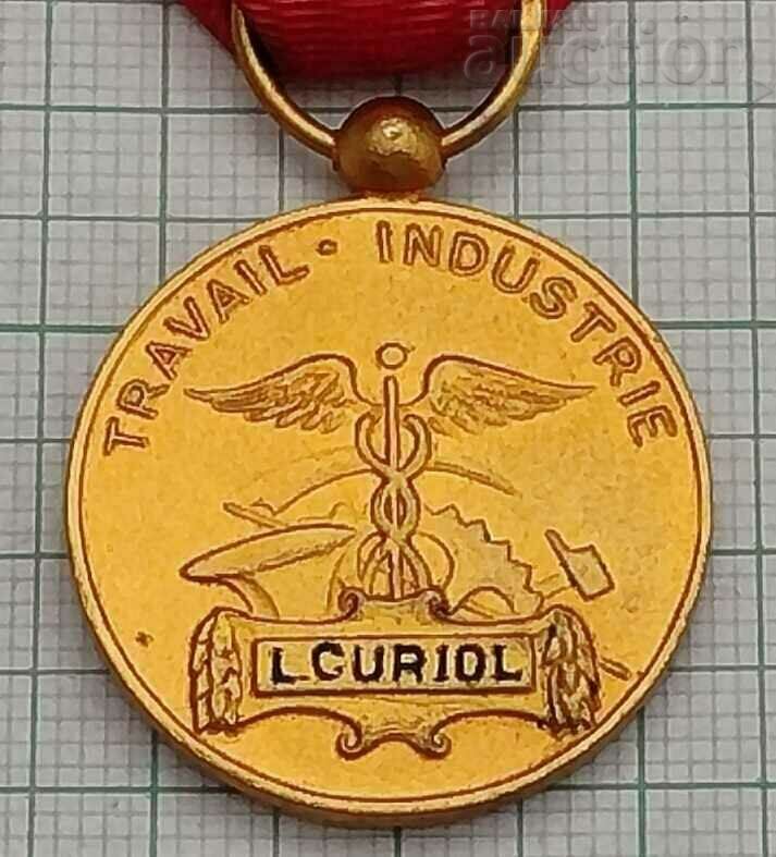 Delivery of FRANCE SILVER MEDAL ROSETTE NAMED INDUSTRY