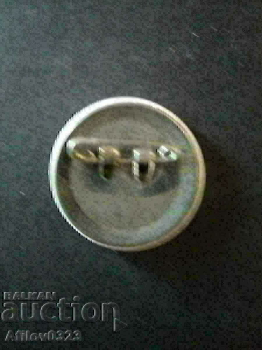 Plant leaf badge. with price 0.50 BGN | € 0.26 Plant leaf badge. with price 0.50 BGN | € 0.26