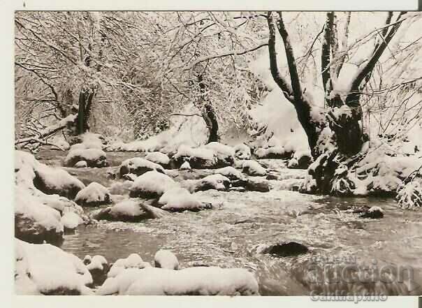 Card Bulgaria Winter landscape 19*