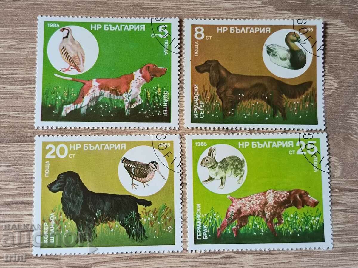 Bulgaria Fauna hunting dogs 1985