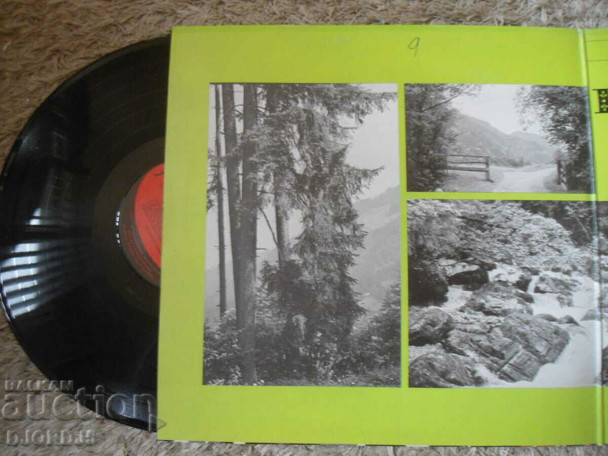 Auction  BOHMEN MAHREN OBERKRAIN, gramophone record, large