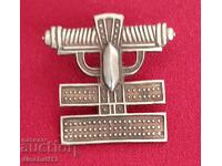 Military insignia. ARMY ??? - BZC