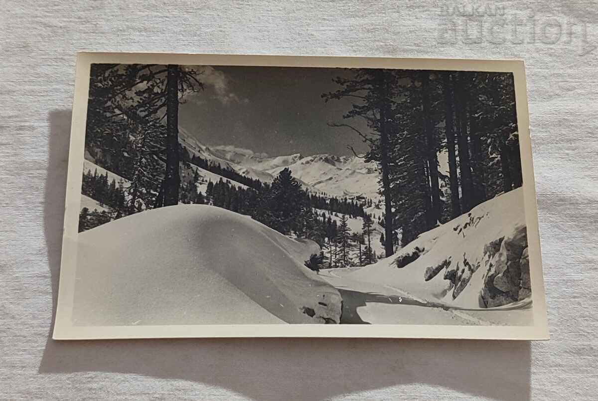 PIRIN WINTER LANDSCAPE P.K. 1959