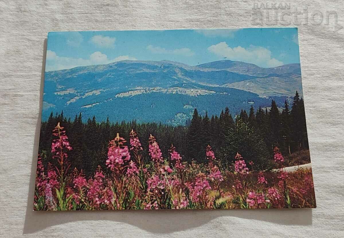 RILA LANDSCAPE Τ.Κ. 1982