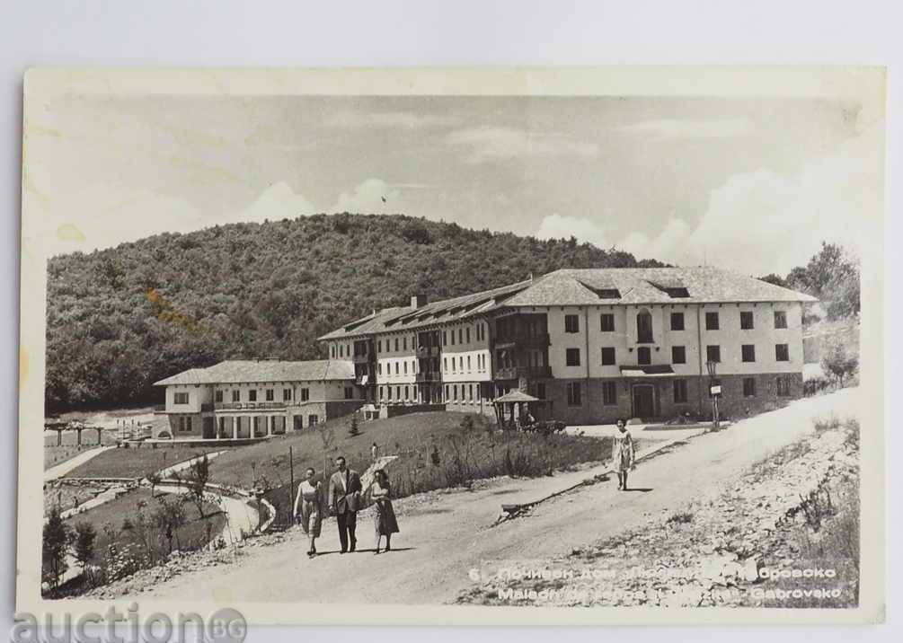 CARD HOLIDAY HOME LILYATSITE GABROVSKO with SPARROWS 1962 CARD HOLIDAY HOME LILYATSITE GABROVSKO with SPARROWS 1962