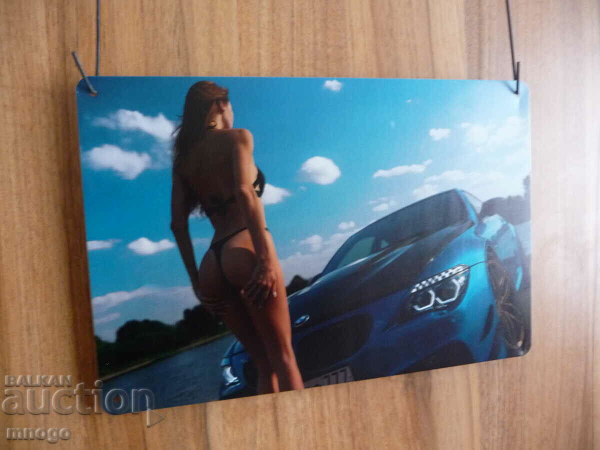 Metal plate blue BMW with cool girl erotica car new with with price 22.00 BGN | € 11.25 Metal plate blue BMW with cool girl erotica car new with with price 22.00 BGN | € 11.25