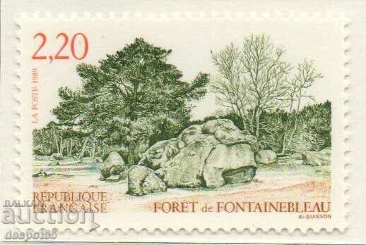 1989. France. Fontainebleau Forest.