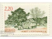 1989. France. Fontainebleau Forest.