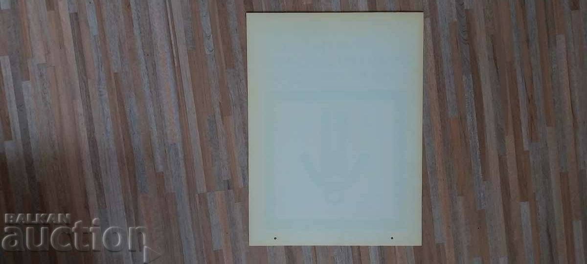 Soca 9 plastic plate with price 10.00 BGN | € 5.11