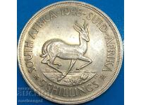 South Africa 5 Shillings George VI Thaler 1948 Gold Patina