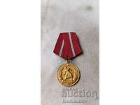 Badge Medal For Combat Merit