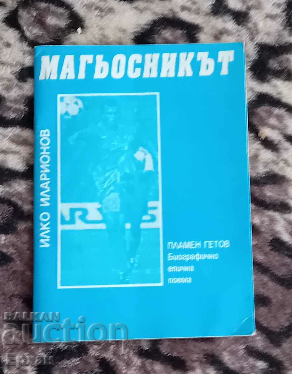 Soccer book